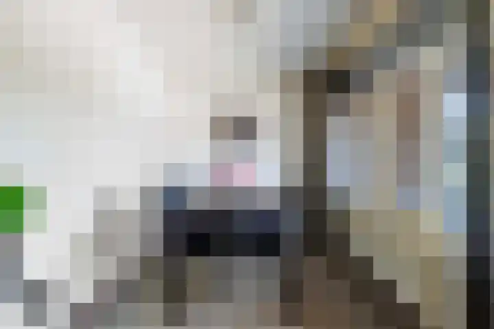 Droefakkers 1 C Loenen thumbnail 17