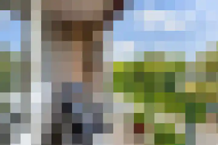 Droefakkers 1 C Loenen thumbnail 18