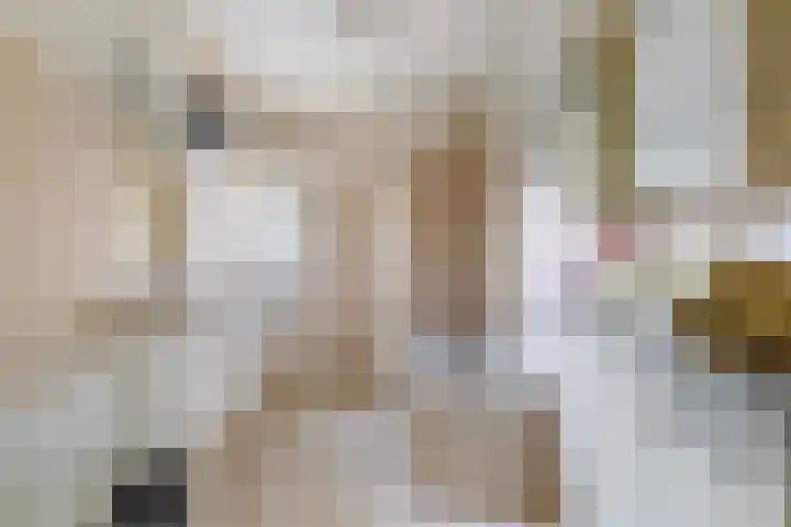 Droefakkers 1 C Loenen thumbnail 24