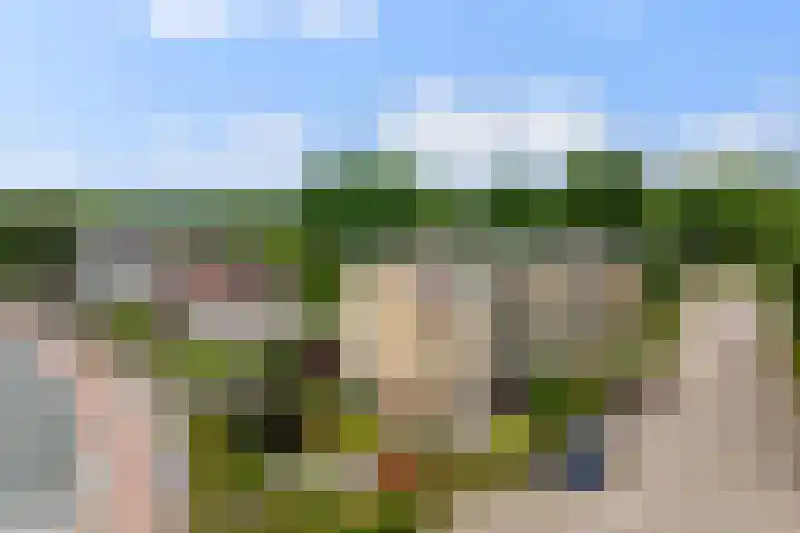 Droefakkers 1 C Loenen thumbnail 26