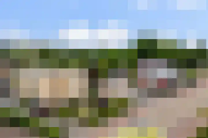 Droefakkers 1 C Loenen thumbnail 27