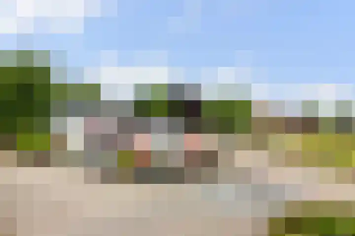 Droefakkers 1 C Loenen thumbnail 30