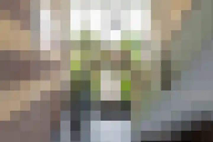 Droefakkers 1 C Loenen thumbnail 4