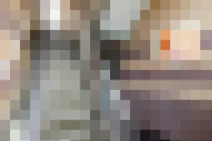 Droefakkers 1 C Loenen thumbnail 5