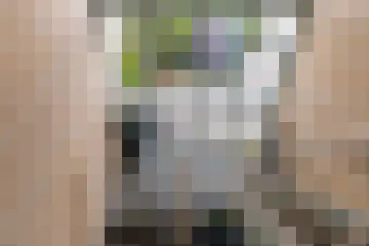 Droefakkers 1 C Loenen thumbnail 6