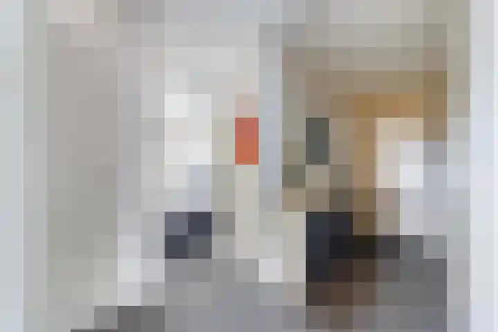 Droefakkers 1 C Loenen thumbnail 9