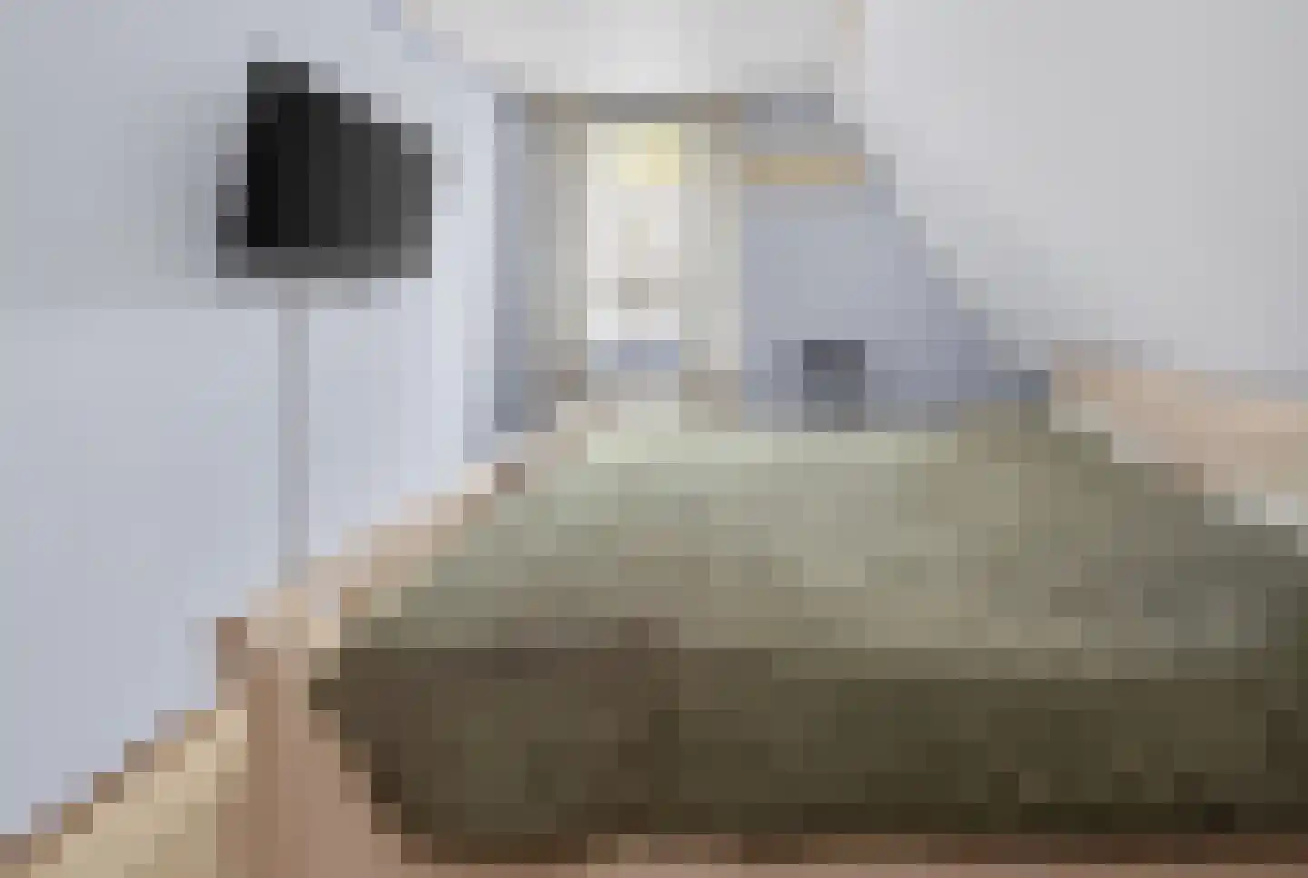 Droefakkers 12 Loenen thumbnail 14
