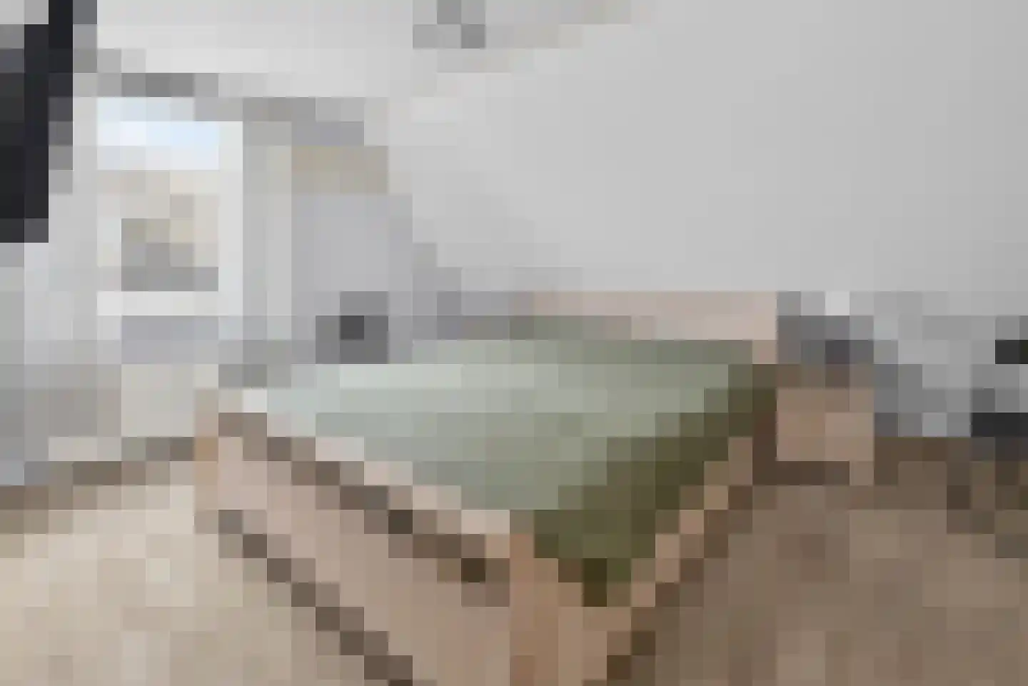 Droefakkers 12 Loenen thumbnail 15