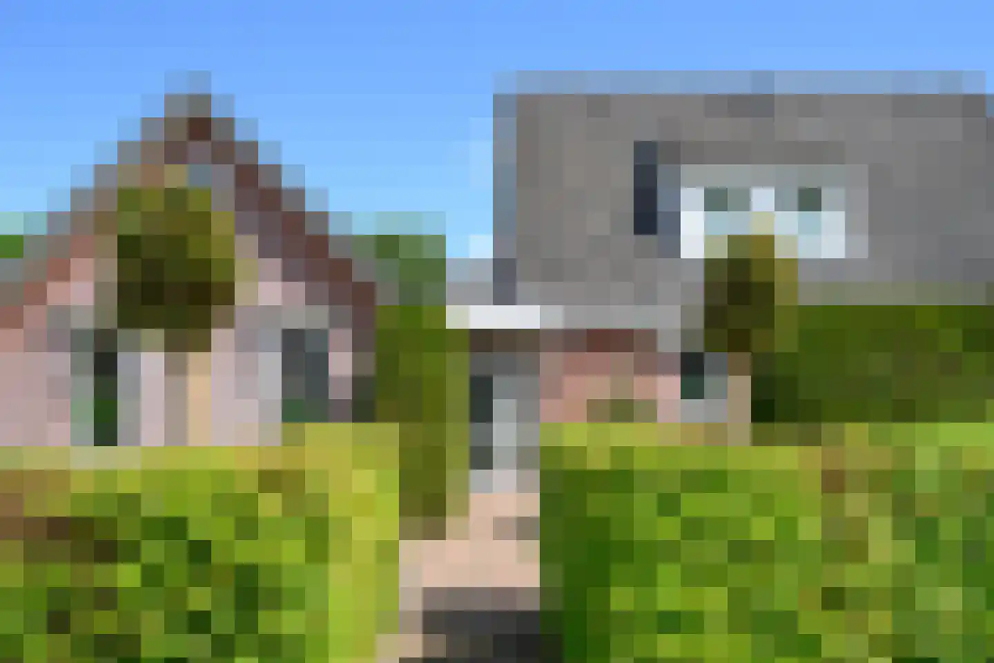 Droefakkers 12 Loenen thumbnail 22