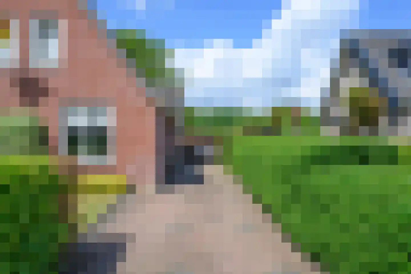 Droefakkers 12 Loenen thumbnail 40