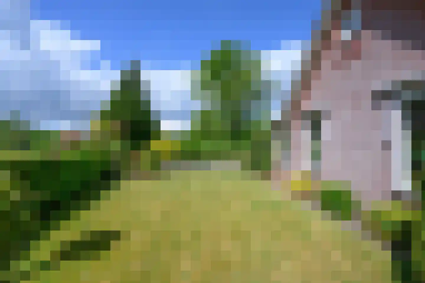 Droefakkers 12 Loenen thumbnail 42