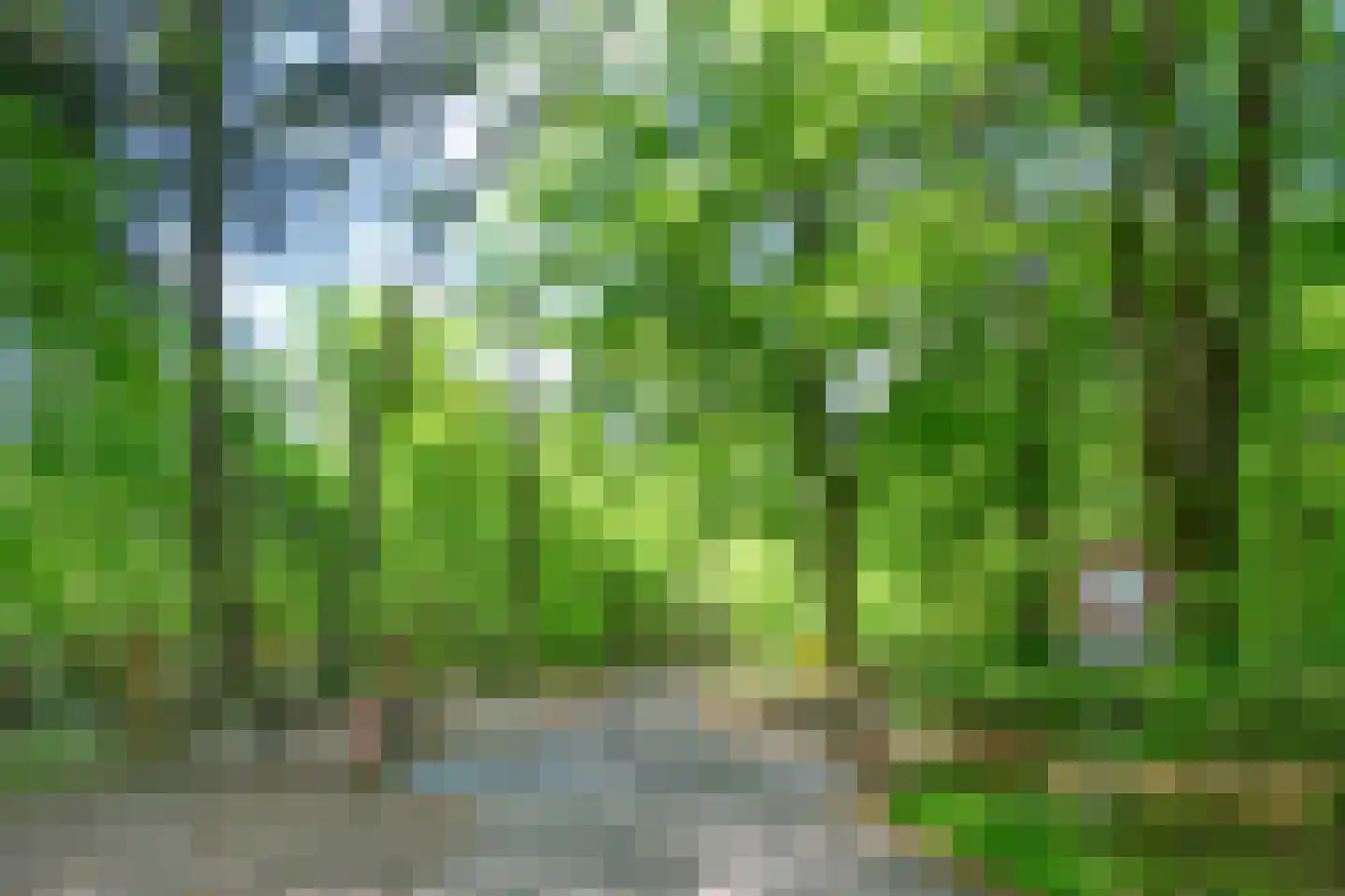 Droefakkers 12 Loenen thumbnail 48
