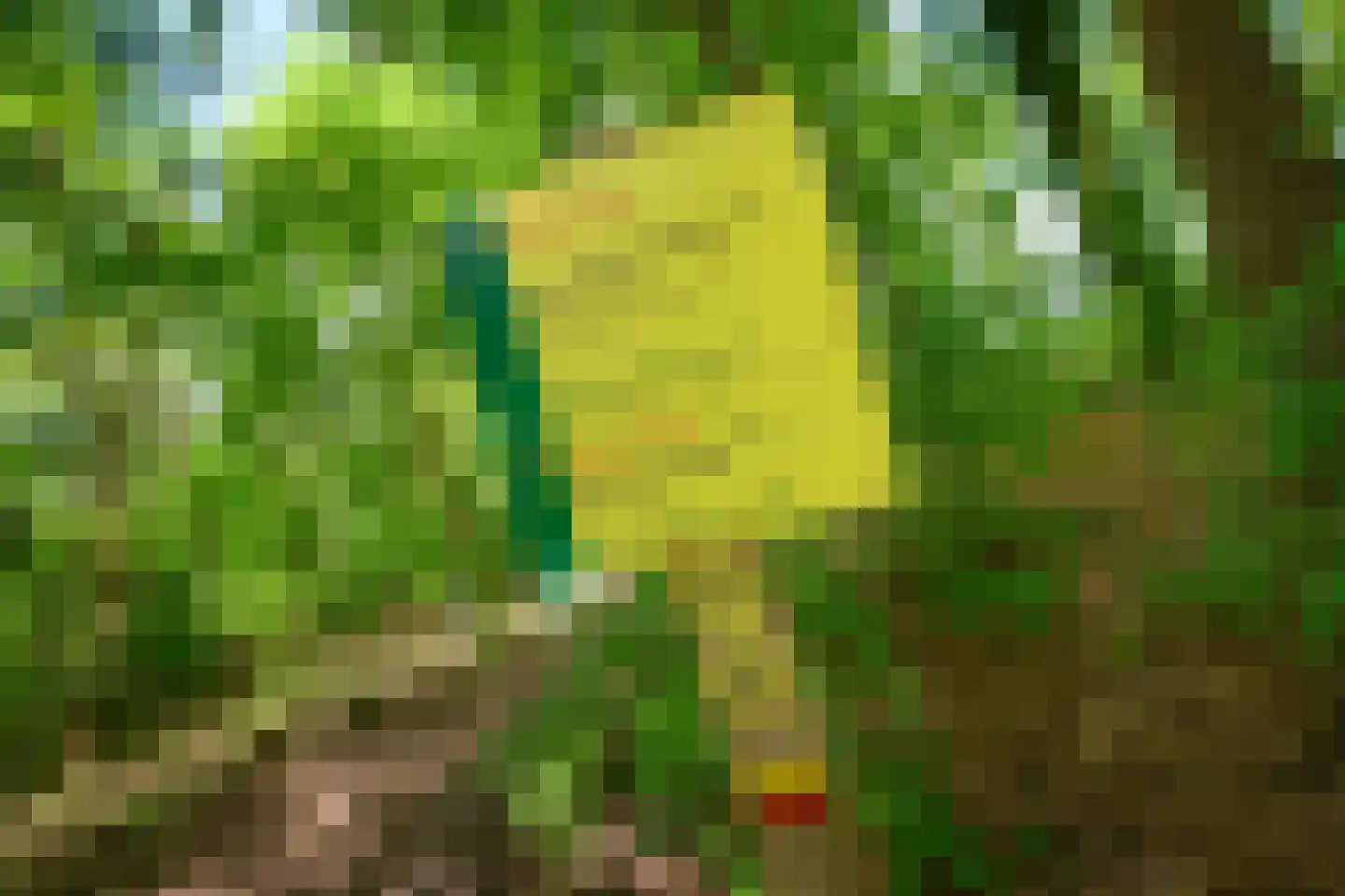 Droefakkers 12 Loenen thumbnail 49