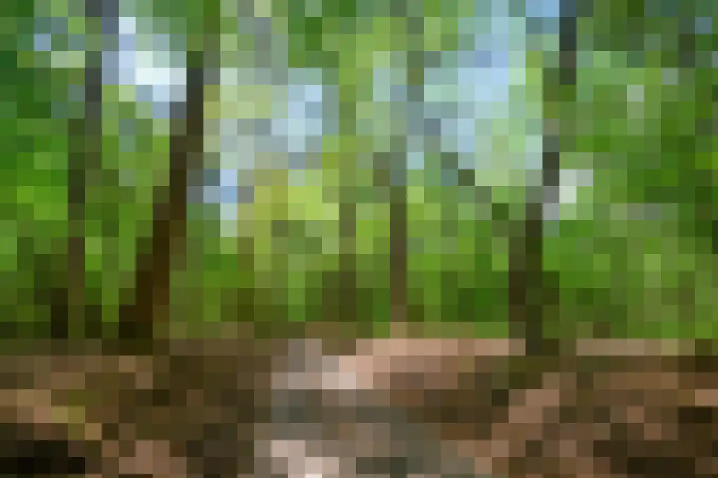 Droefakkers 12 Loenen thumbnail 50