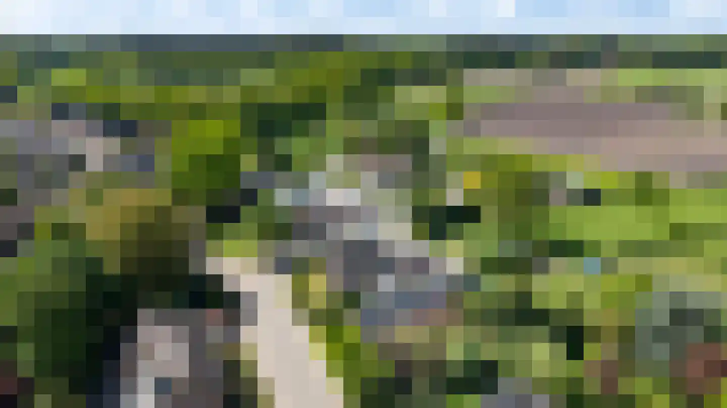 Droefakkers 12 Loenen thumbnail 51