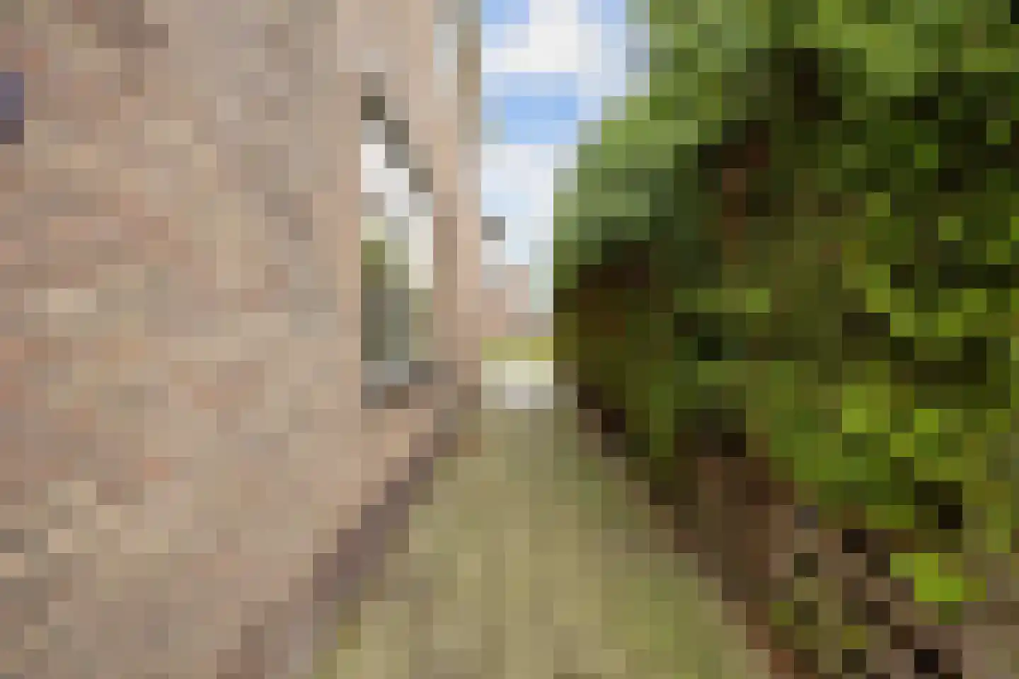 Droge Haven 2 Leeuwarden thumbnail 10