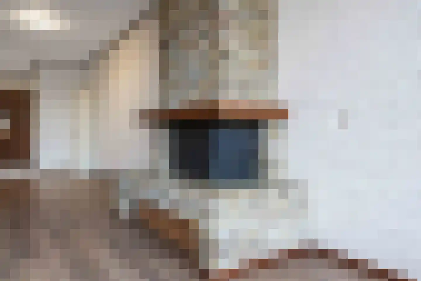 Droge Haven 2 Leeuwarden thumbnail 15