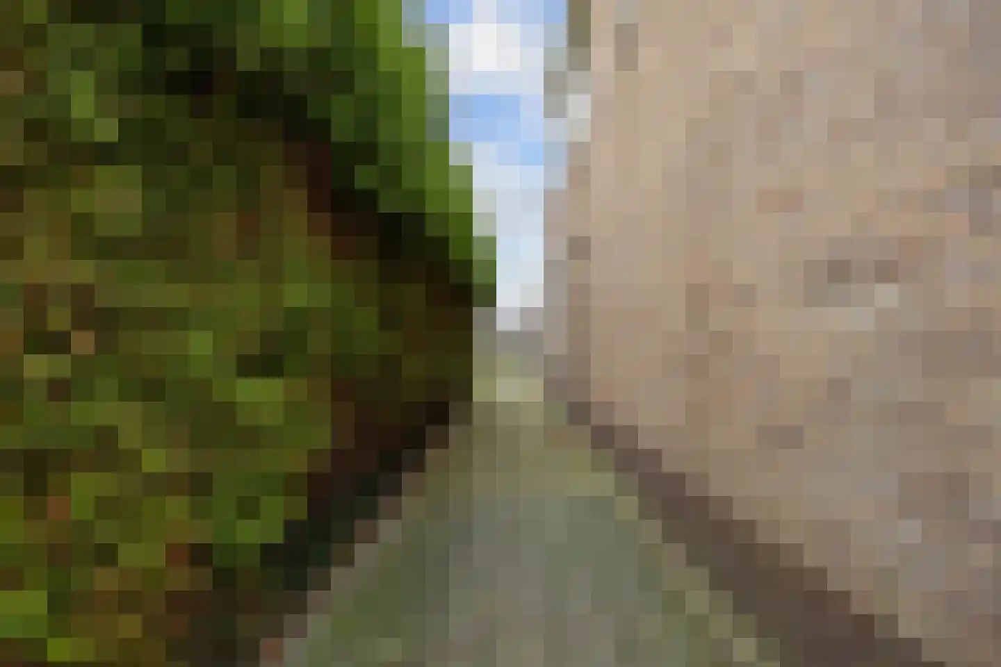Droge Haven 2 Leeuwarden thumbnail 9