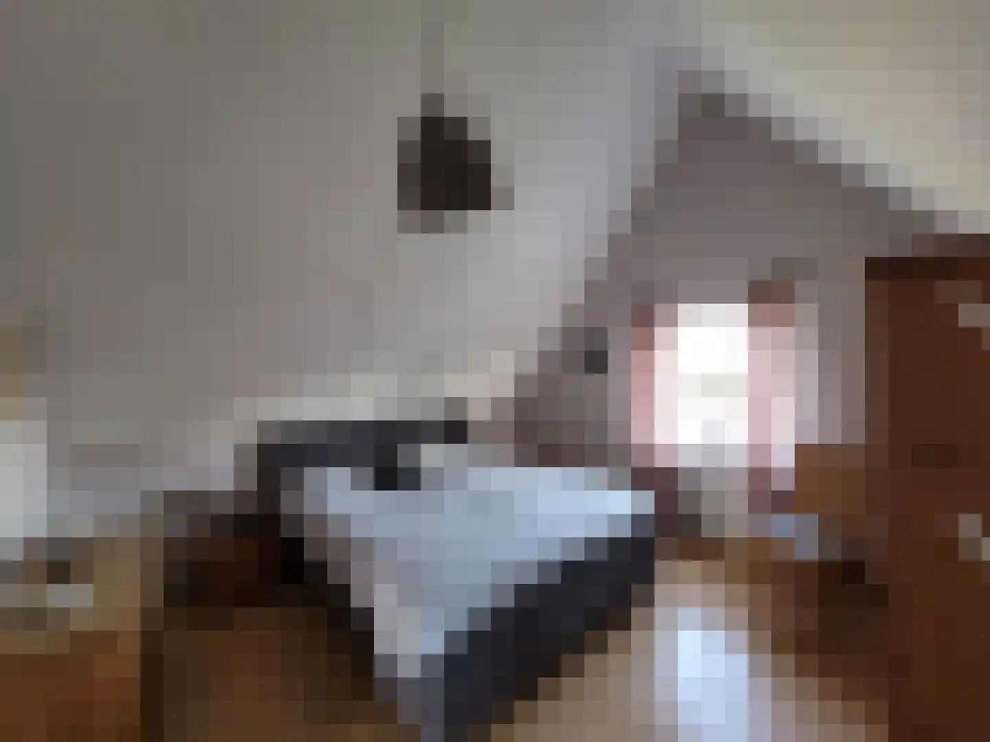 Droge Wijmersweg 5 015 Wervershoof thumbnail 19
