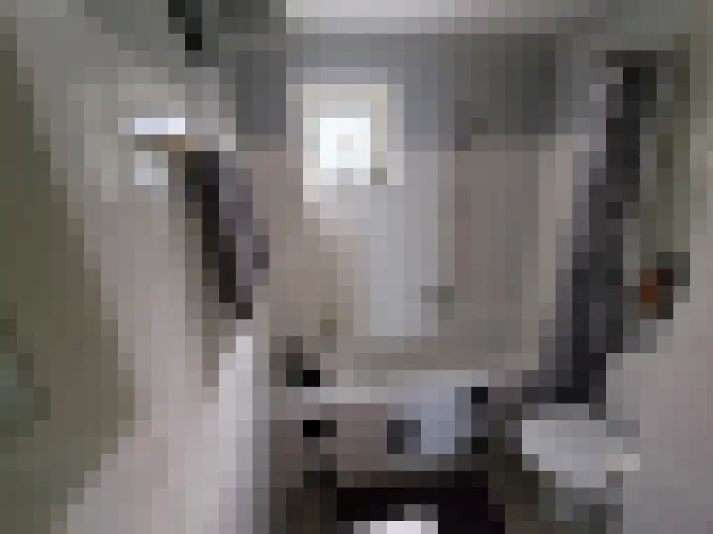 Droge Wijmersweg 5 015 Wervershoof thumbnail 9