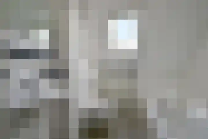 Droge Wijmersweg 5 017 Wervershoof thumbnail 23
