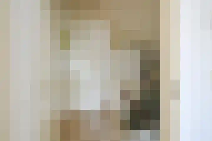 Droge Wijmersweg 5 017 Wervershoof thumbnail 24