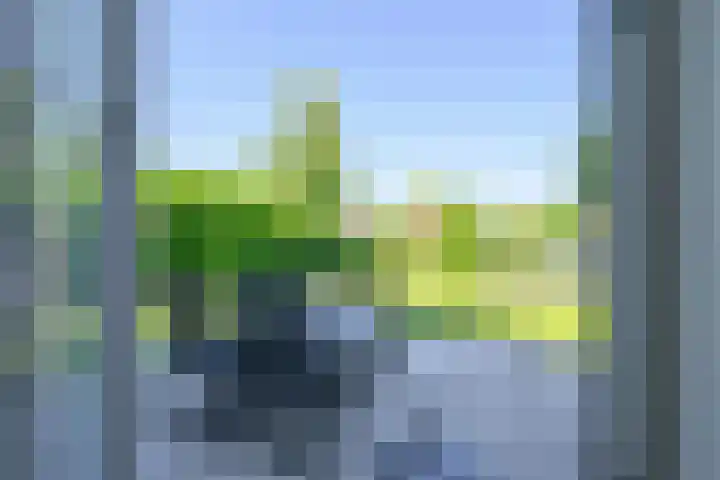 Droge Wijmersweg 5 017 Wervershoof thumbnail 25