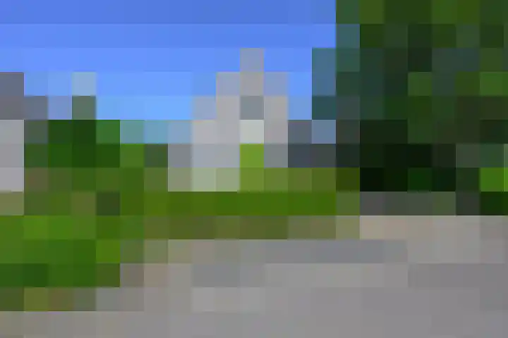 Droge Wijmersweg 5 017 Wervershoof thumbnail 29