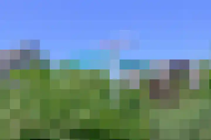Droge Wijmersweg 5 017 Wervershoof thumbnail 30