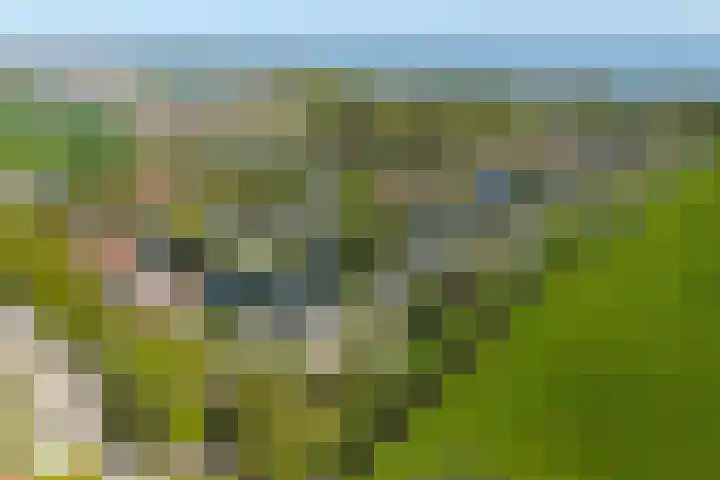 Droge Wijmersweg 5 017 Wervershoof thumbnail 31