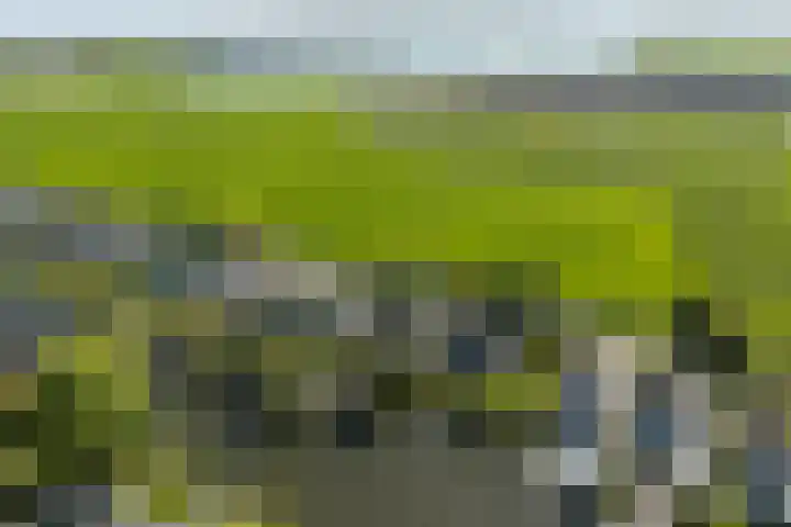 Droge Wijmersweg 5 017 Wervershoof thumbnail 32