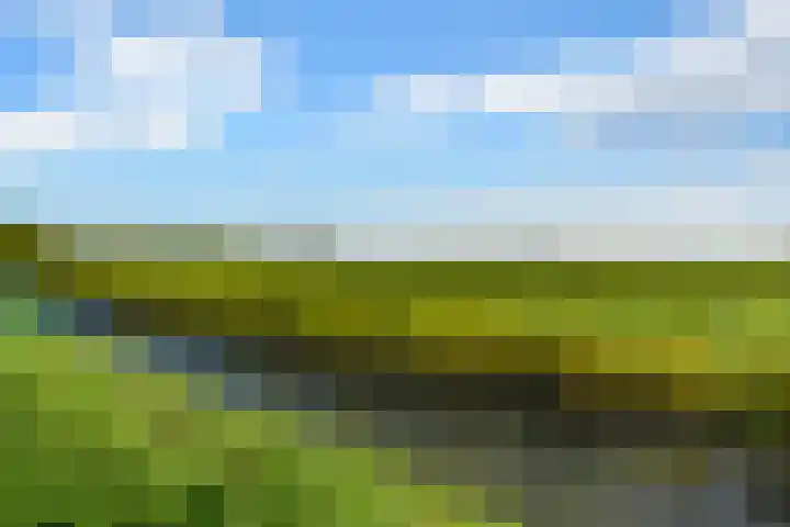 Droge Wijmersweg 5 017 Wervershoof thumbnail 33