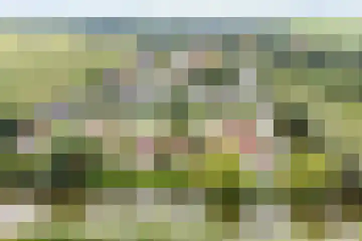 Droge Wijmersweg 5 017 Wervershoof thumbnail 34