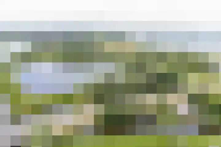 Droge Wijmersweg 5 017 Wervershoof thumbnail 35