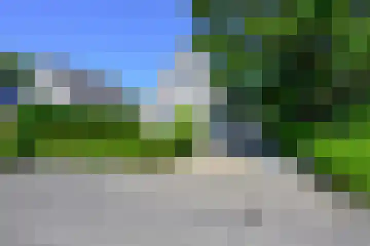 Droge Wijmersweg 5 017 Wervershoof thumbnail 39