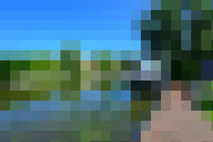 Droge Wijmersweg 5 017 Wervershoof thumbnail 4