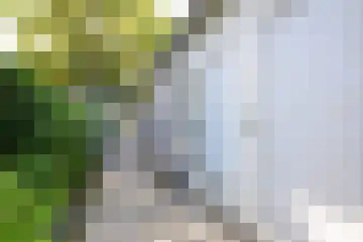 Droge Wijmersweg 5 017 Wervershoof thumbnail 5