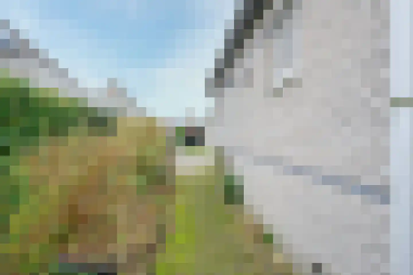 Droge Wijmersweg 5 021 Wervershoof thumbnail 28