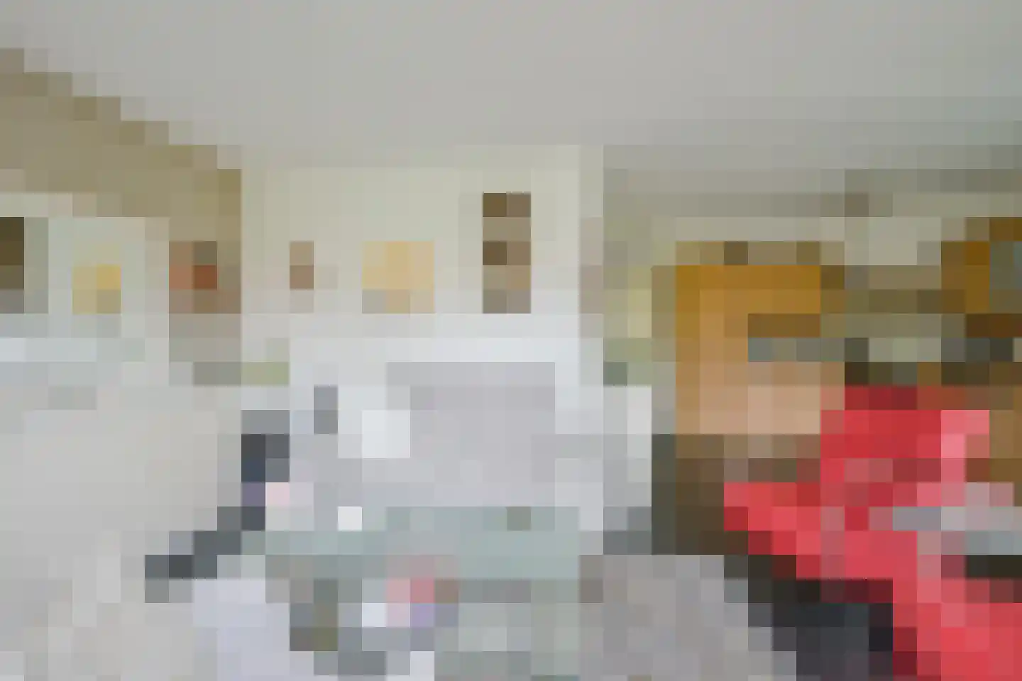 Droge Wijmersweg 5 029 Wervershoof thumbnail 11