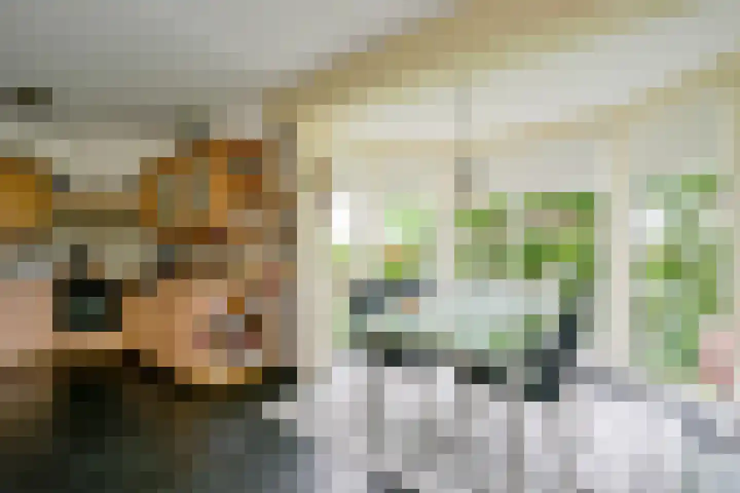 Droge Wijmersweg 5 029 Wervershoof thumbnail 12