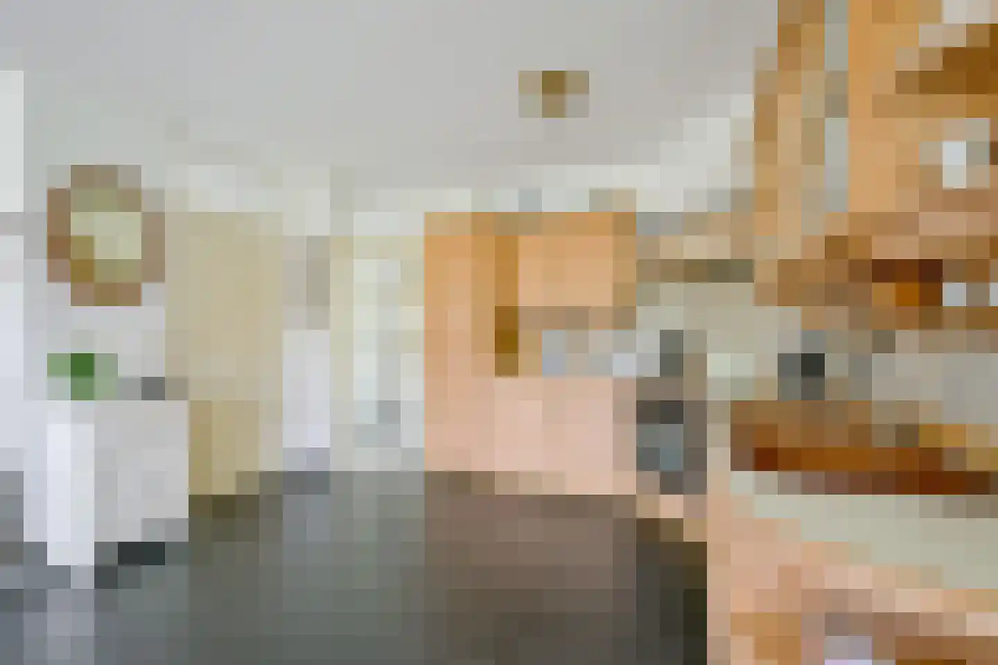Droge Wijmersweg 5 029 Wervershoof thumbnail 14