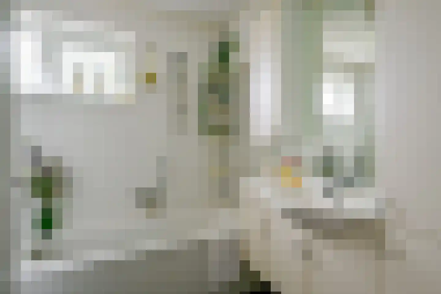 Droge Wijmersweg 5 029 Wervershoof thumbnail 20