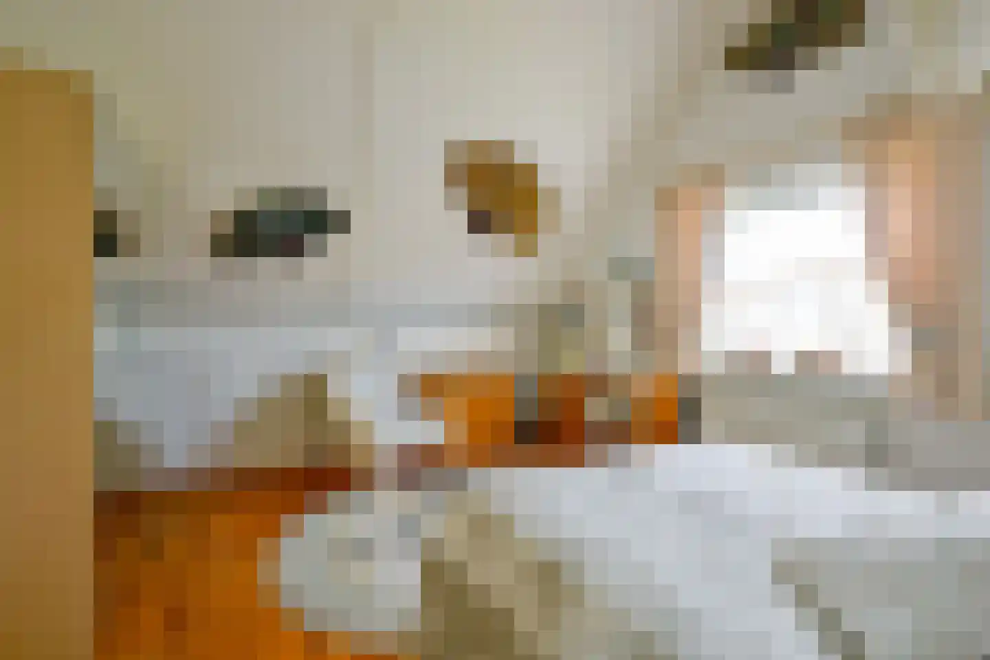 Droge Wijmersweg 5 029 Wervershoof thumbnail 27
