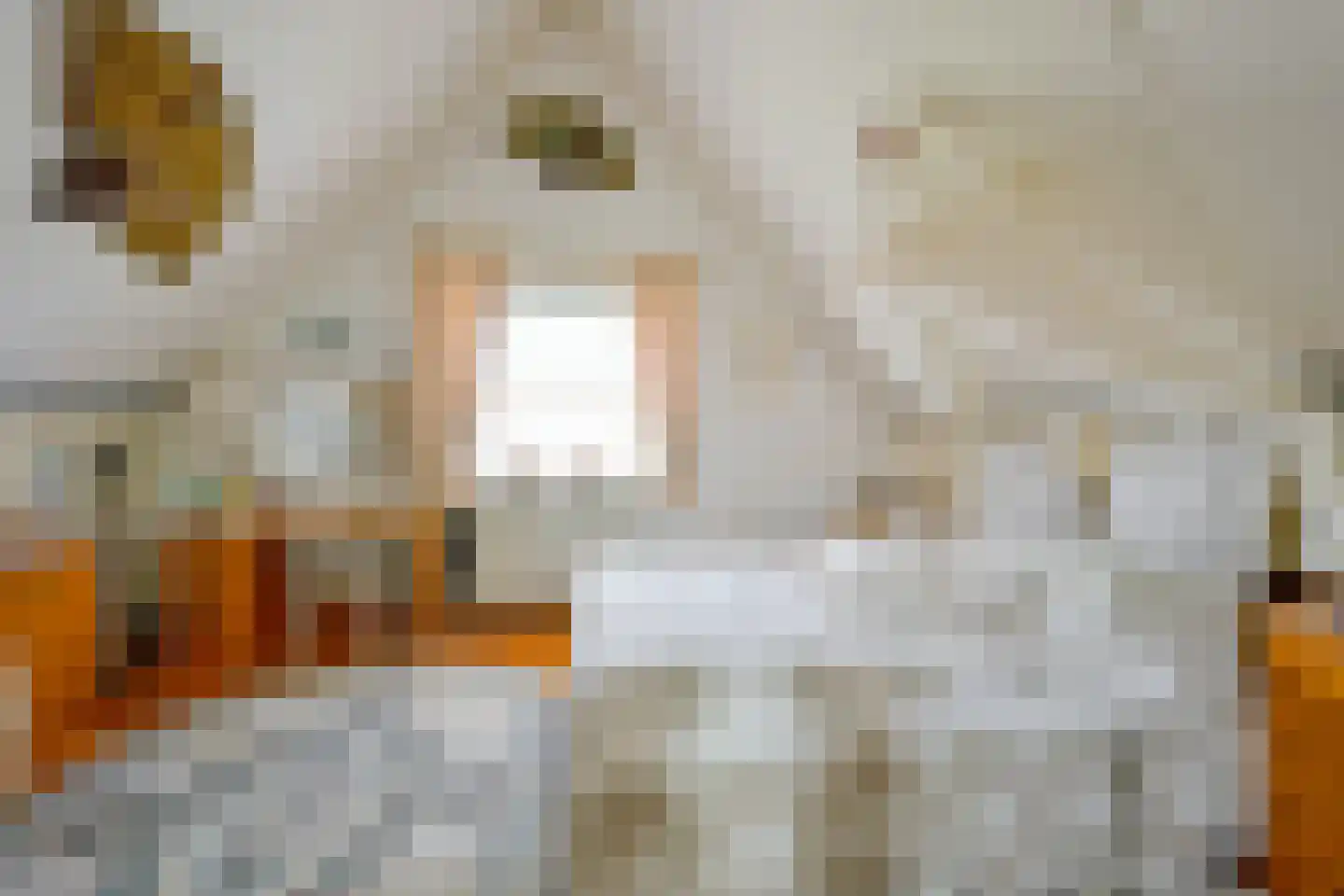 Droge Wijmersweg 5 029 Wervershoof thumbnail 28