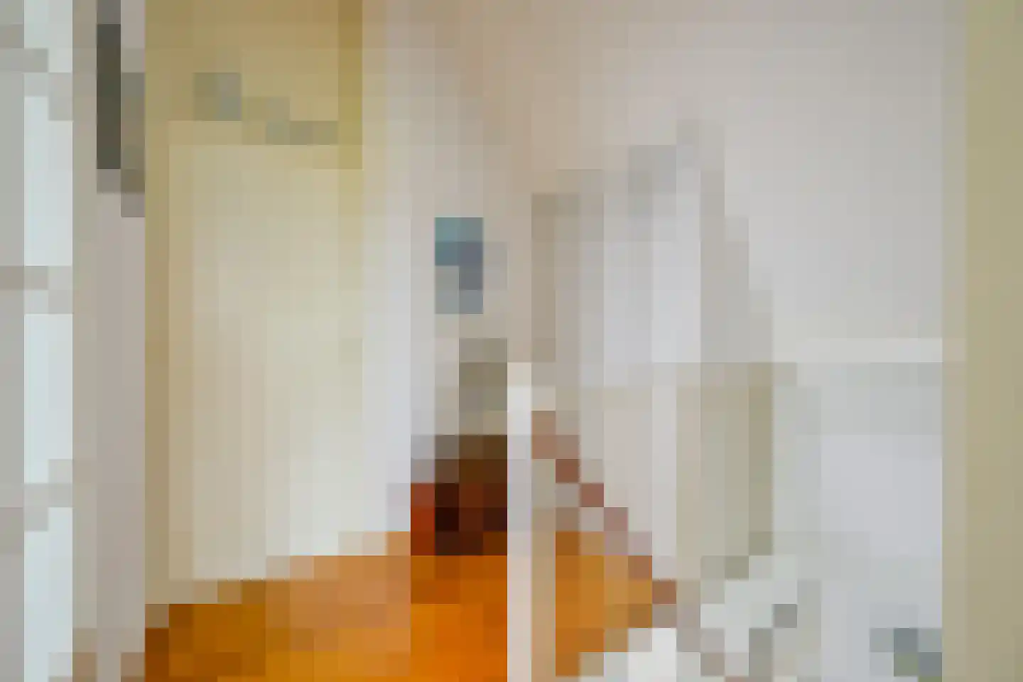 Droge Wijmersweg 5 029 Wervershoof thumbnail 31