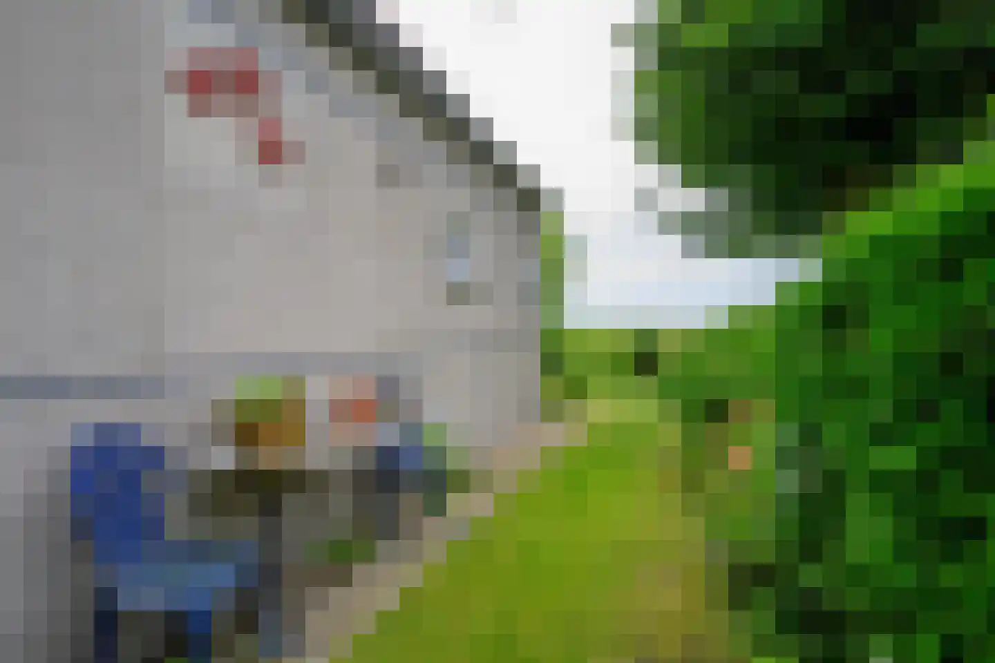 Droge Wijmersweg 5 029 Wervershoof thumbnail 34