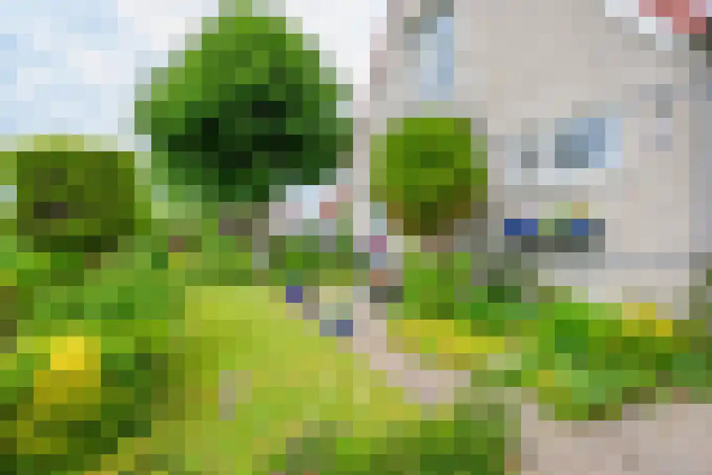 Droge Wijmersweg 5 029 Wervershoof thumbnail 39