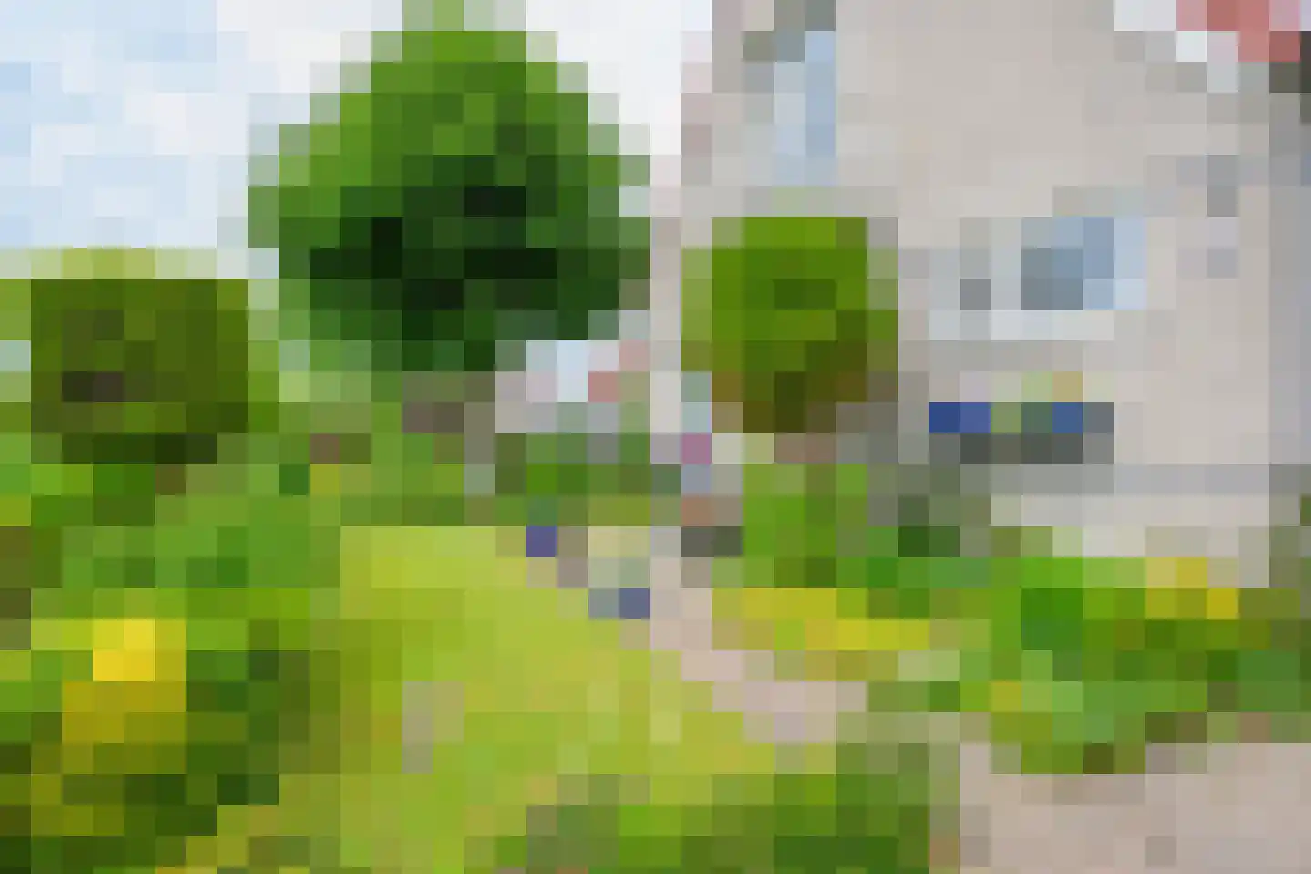 Droge Wijmersweg 5 029 Wervershoof thumbnail 40