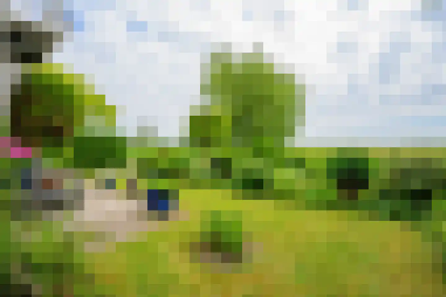 Droge Wijmersweg 5 029 Wervershoof thumbnail 42