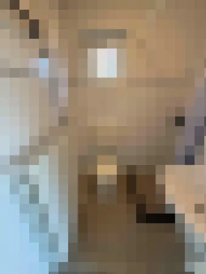 Droge Wijmersweg 5 041 Wervershoof thumbnail 10